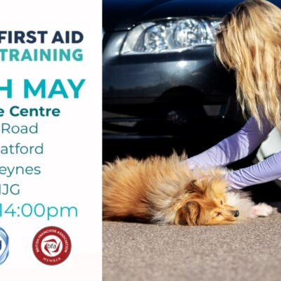 Dog First Aid Training
