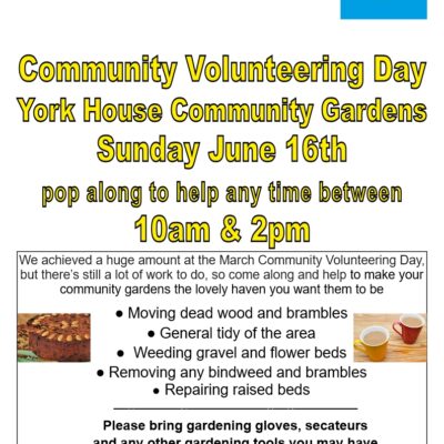Community Volunteering Day