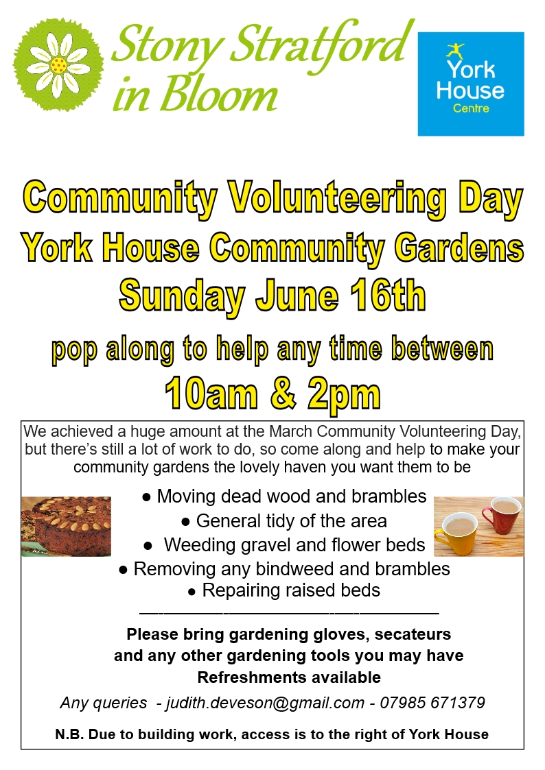Community Volunteering Day