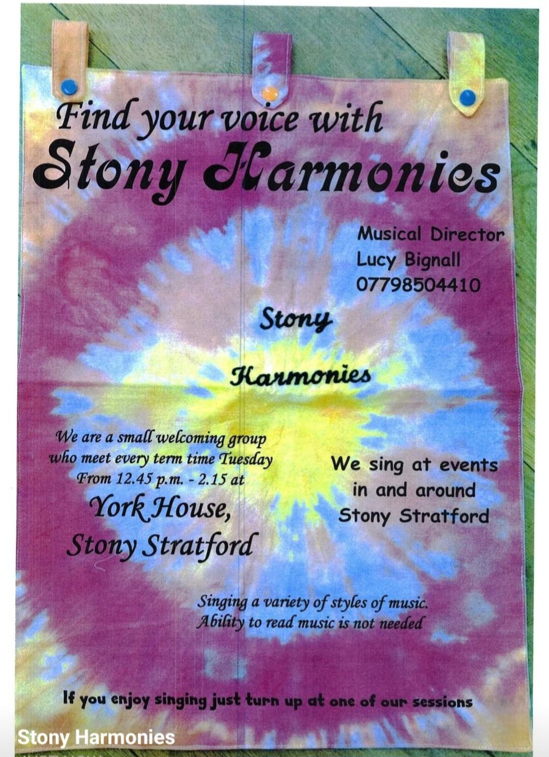 Stony Harmonies singing group