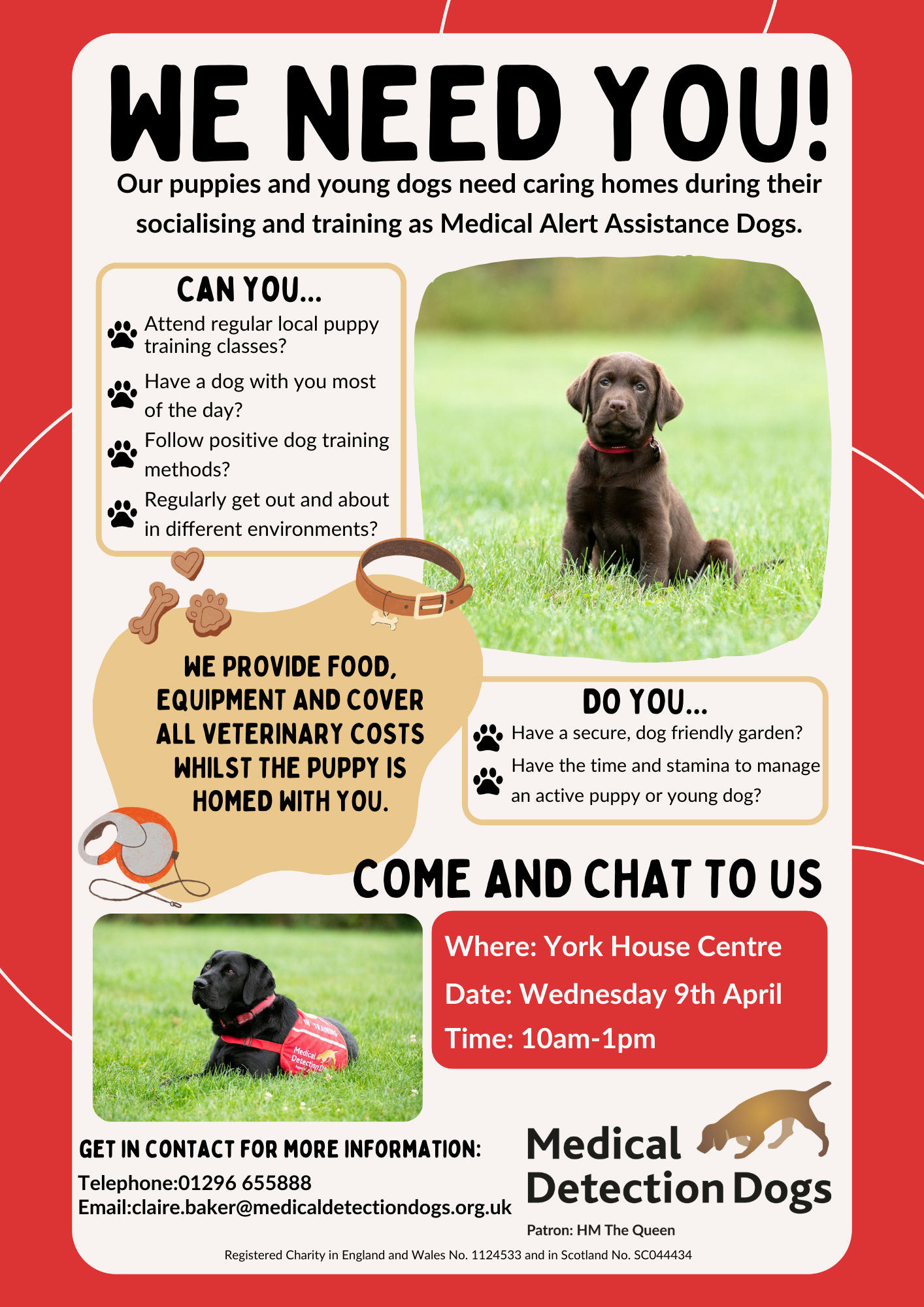 Medical Detection Dogs Need You!